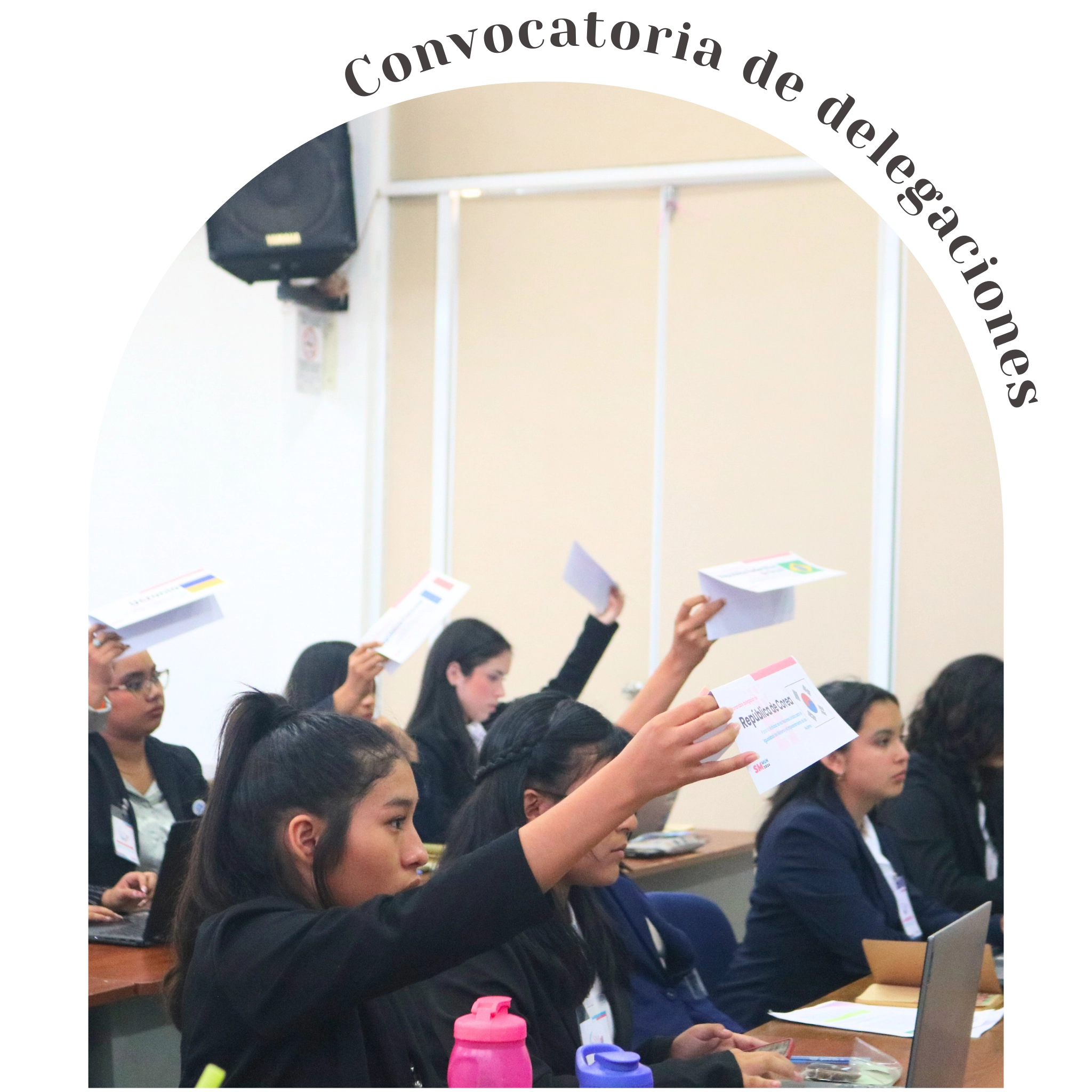 Convocatoria de delegaciones.